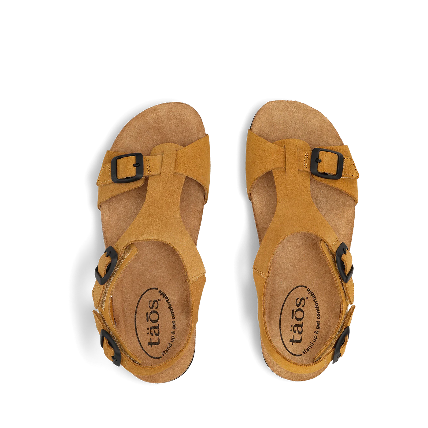 MVP - Image 4