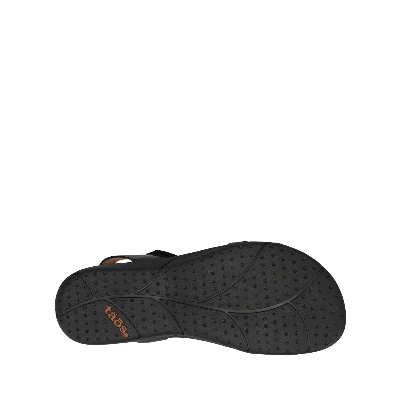 Trophy 2 - Image 4