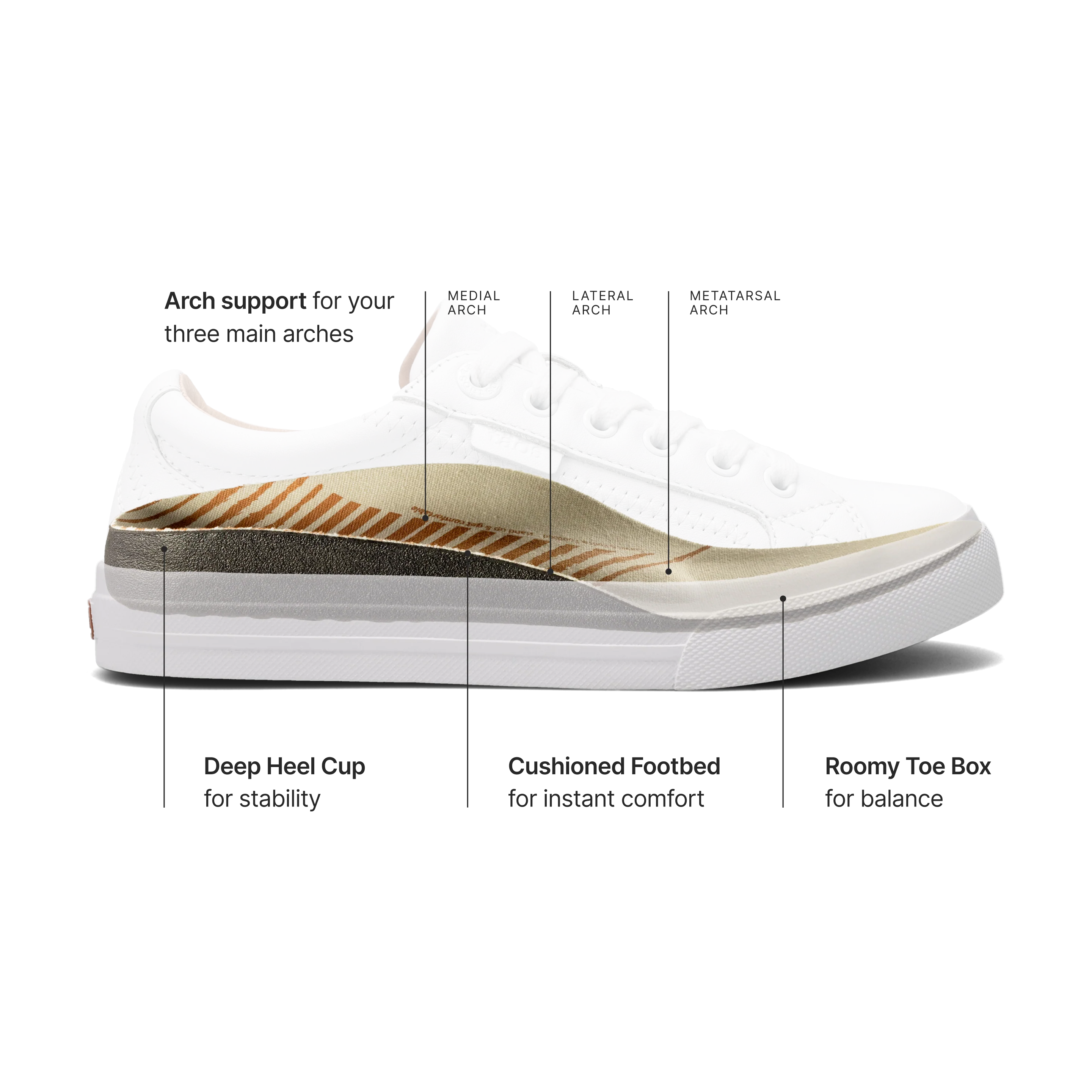 Z-Soul Lux - Image 3